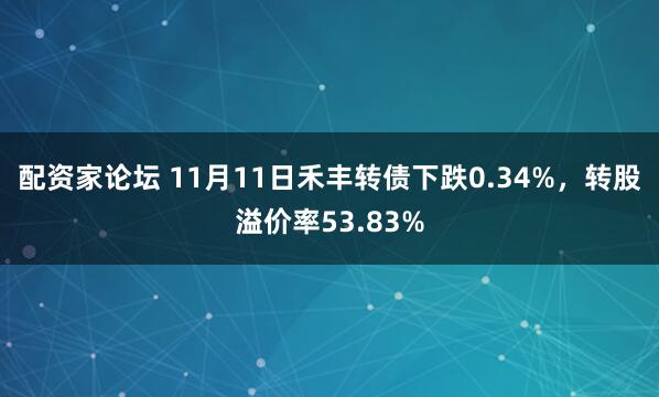 配资家论坛 11月11日禾丰转债下跌0.34%，转股溢价率53.83%